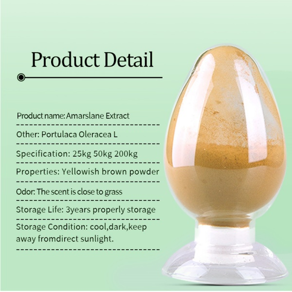 Herbal Extract Health Food Raw Materials Purslane Herbs Extract Powder
