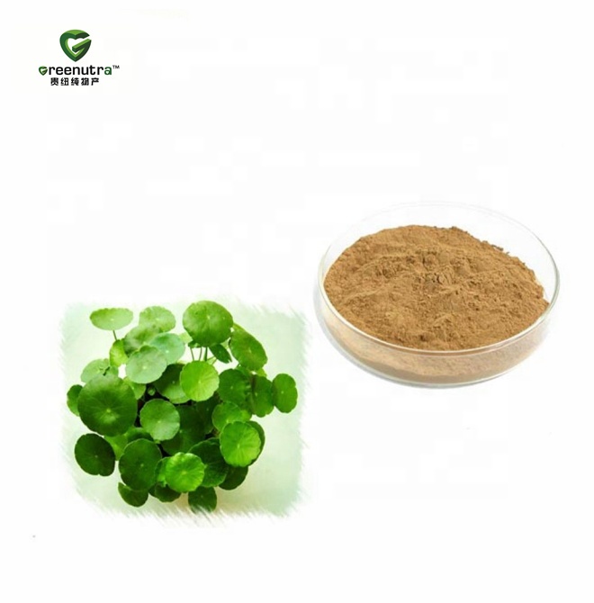 Gotu Kola Herb Extract Powder 10:1 Natural Plant Extract for Skin Care and Personal Care Cosmetic Grade