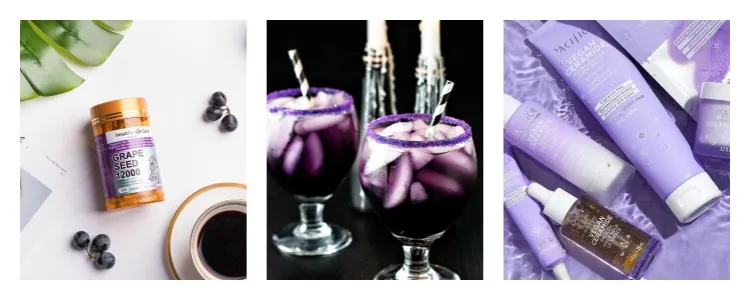 Black Wolfberry Extract CAS 90106-40-4 Natural Hair Care Raw Material