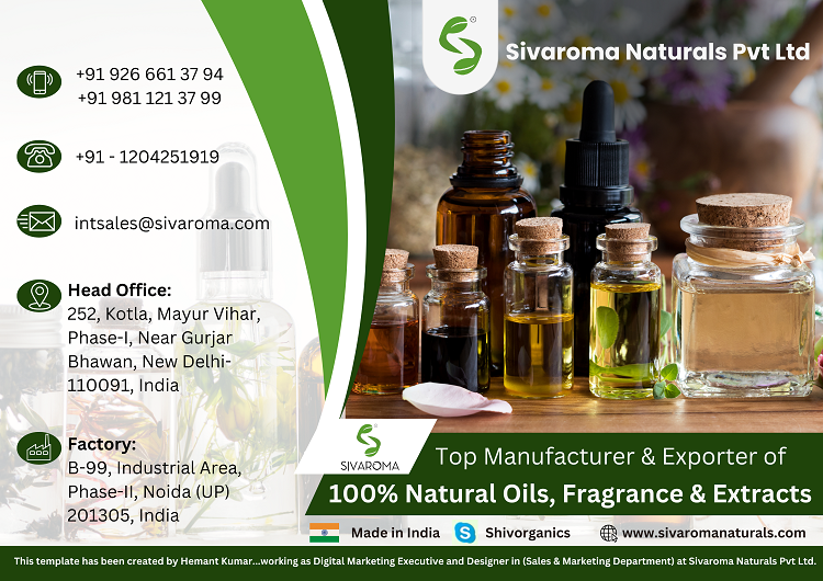 Get in Touch