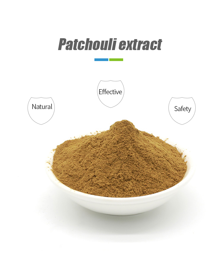 Patchouli Extract Processing