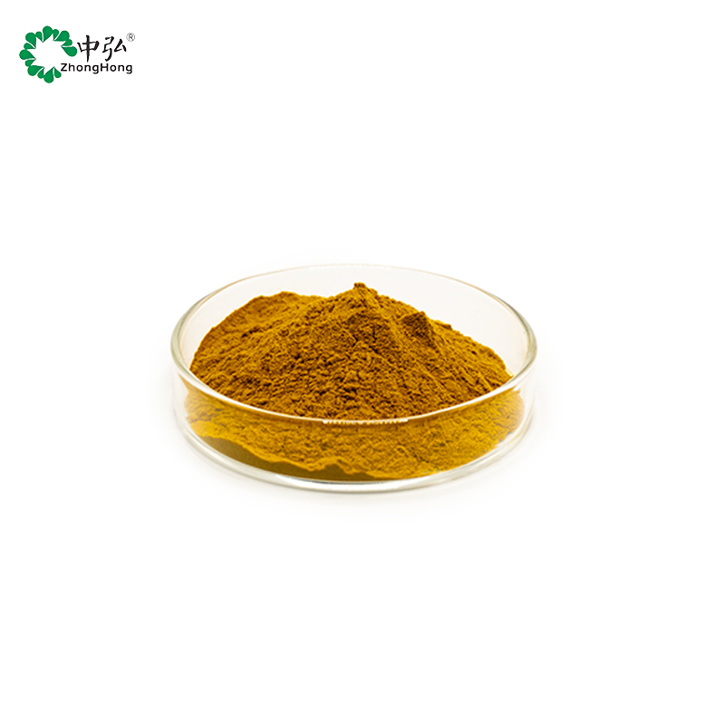 Plant Extract Herbal Supplements Lychee Seed Extract Powder Food Grade Solvent Extraction