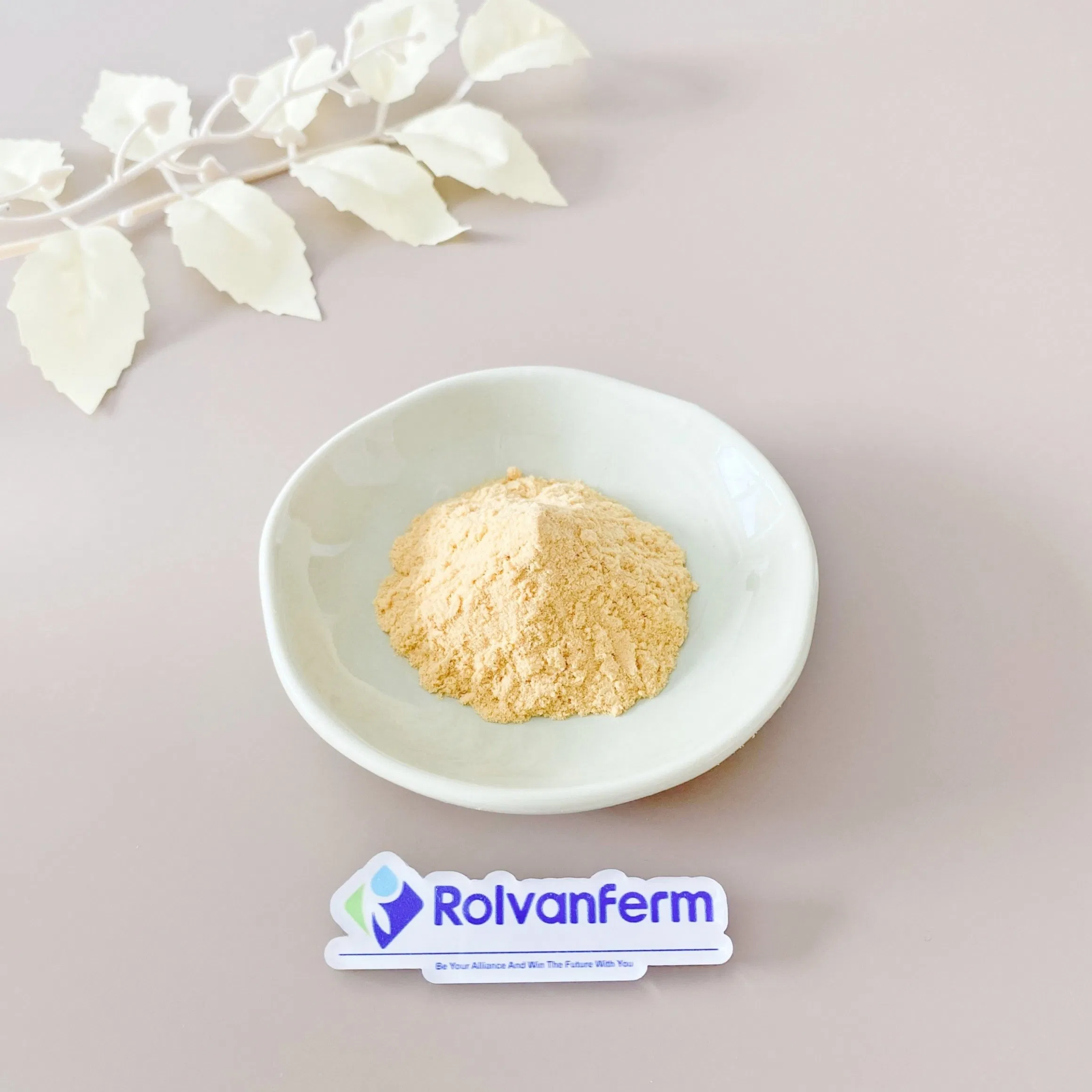 Ginger Root Extract Raw Material Zingiber Officinale Botanical Ingredient for Supplement Manufacturing and Functional Nutrition