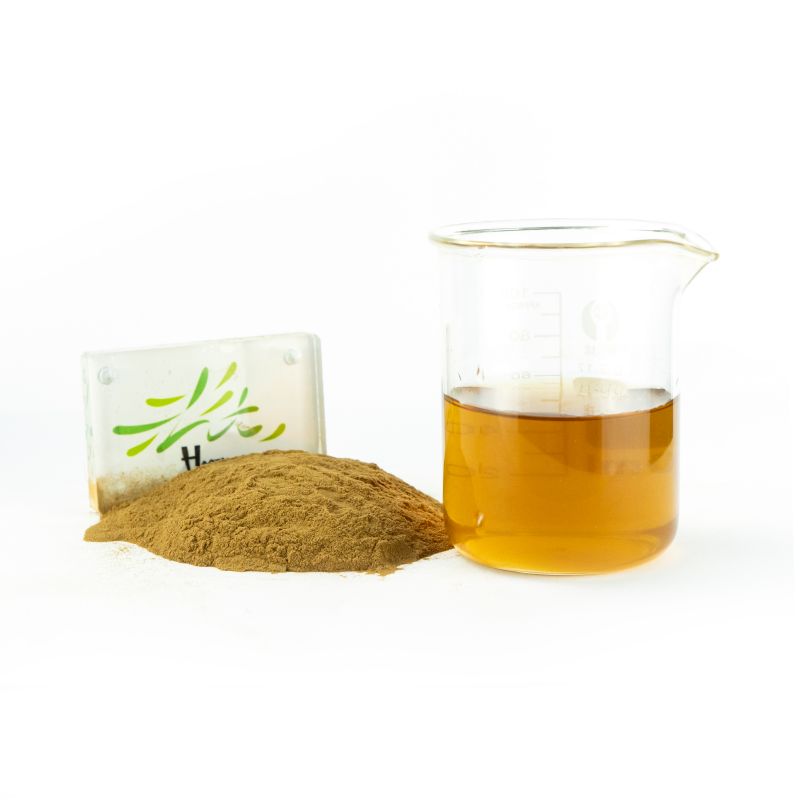 Customized Food Grade Ganoderma Lucidum Herbal Extract Powder (Yellow) Drum Packaging Fruit Part Instant Drink