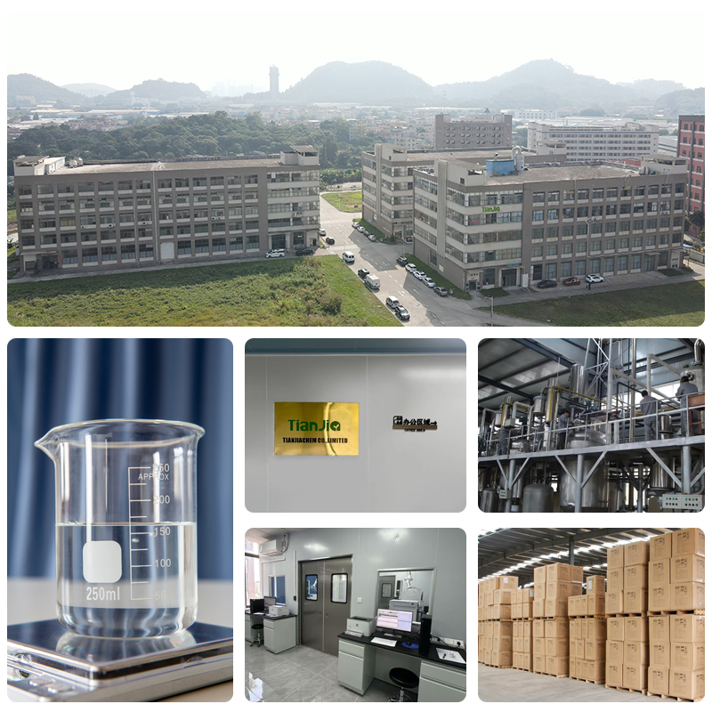 Tianjia Direct Factory Price Powdered Pure Herbal Extract Plant Extract Fenugreek Extract