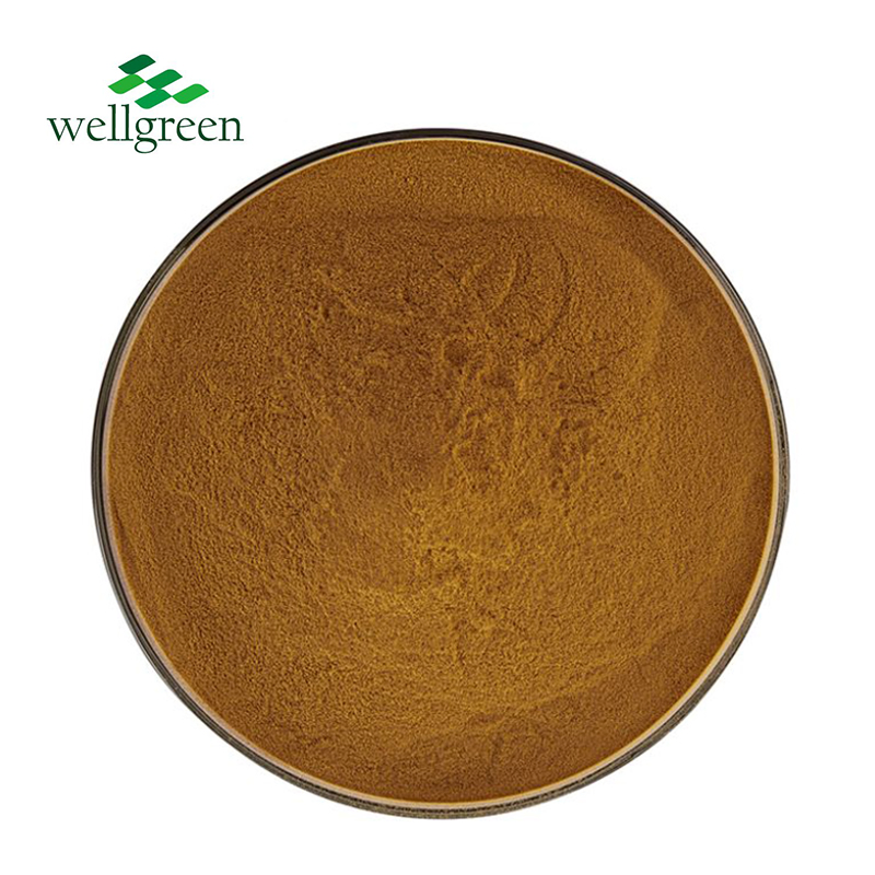 Water-Soluble Cordyceps Extract Keto-Friendly Functional Food Cordyceps Militaris Mushroom Extract