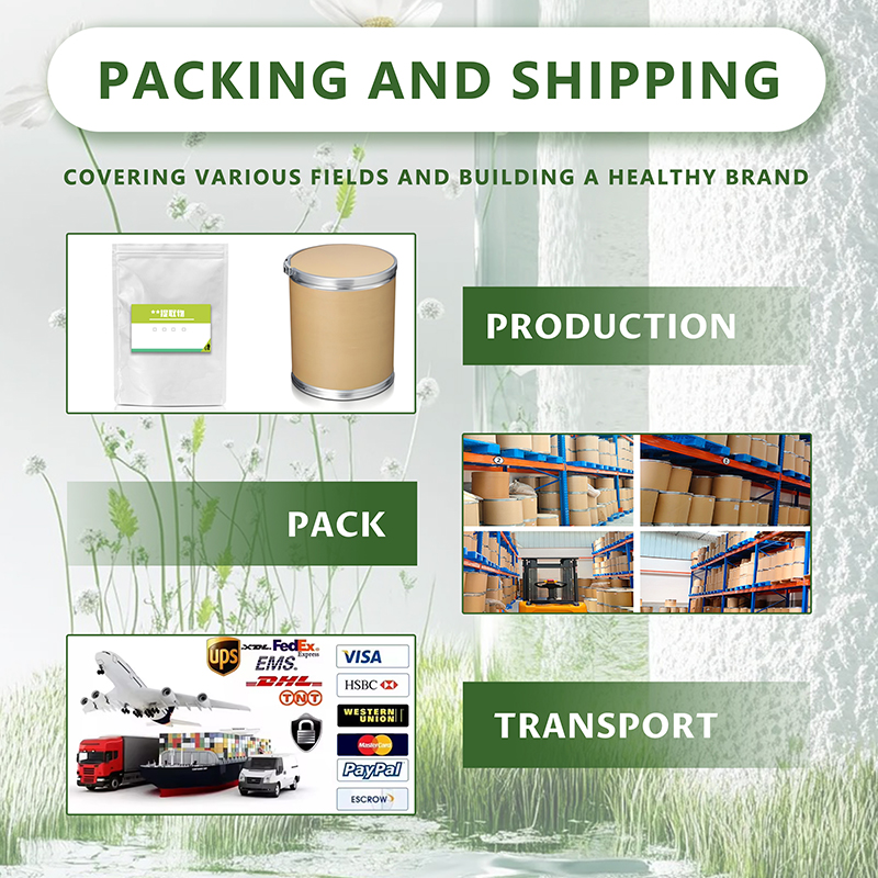 Solvent Extracted Apple Stem Cell Powder Herbal Fruit Extract Food Supplement for Cosmetics Drum Packaging