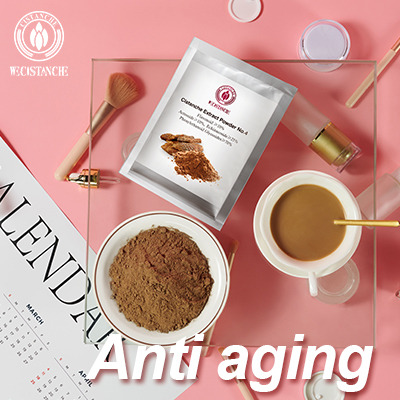 High Echinacoside Cistanche Tubulosa Extract Powder, Natural Antioxidant Herb for Renal Wellness &amp; Energy Support