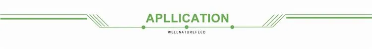 Function and Application Title