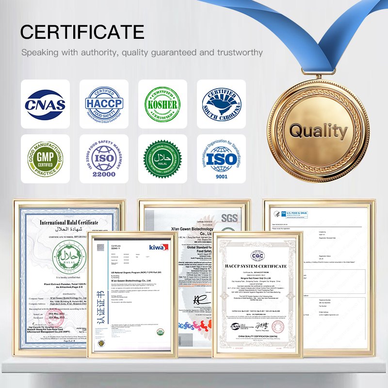 OEM Organic Mullein Tincture Liquid Extract - Natural Anti-Inflammatory Herbal Drops for Immune System Boost
