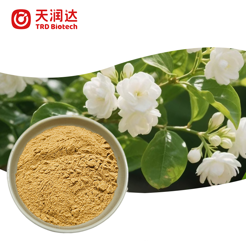 Jasmine Flower Extract Premium Powder for Functional Food &amp; Beverage Use