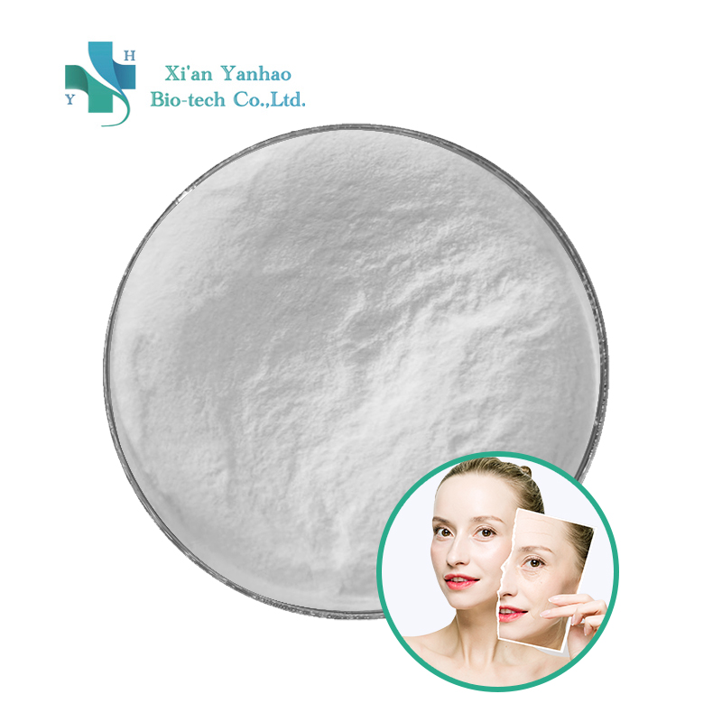Solvent Extracted Apple Stem Cell Powder Herbal Fruit Extract Food Supplement for Cosmetics Drum Packaging