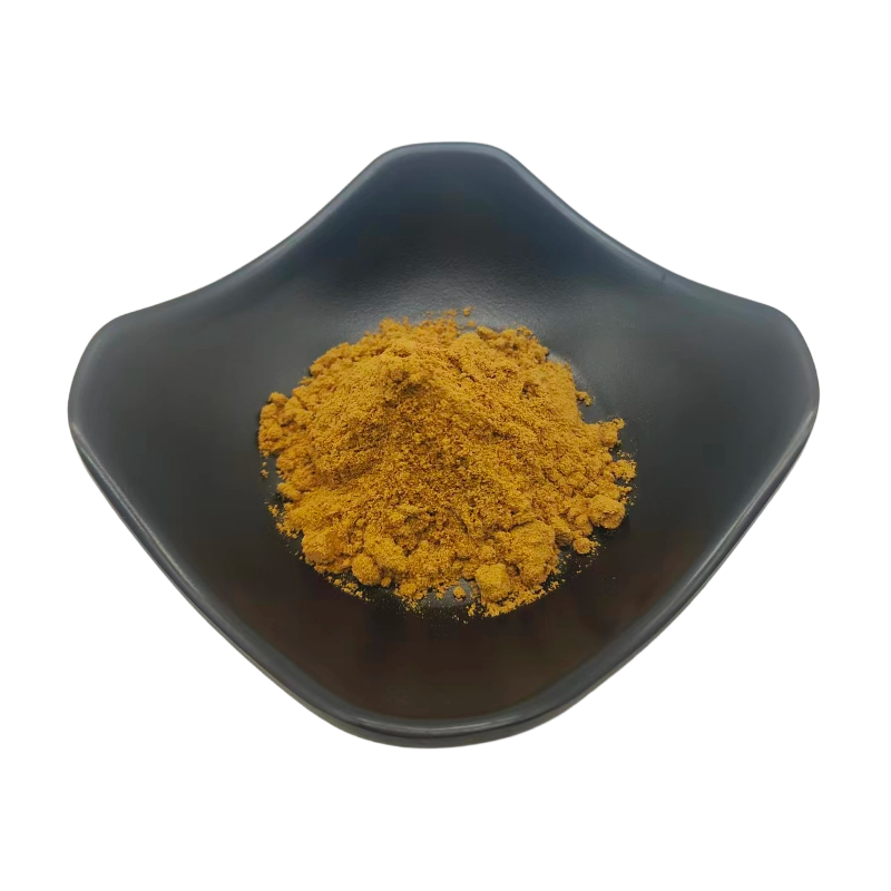 Angelica Pubescens Extract High Quality Traditional Chinese Herb Du Huo Extract for Anti-Inflammatory &amp; Joint Comfort Support