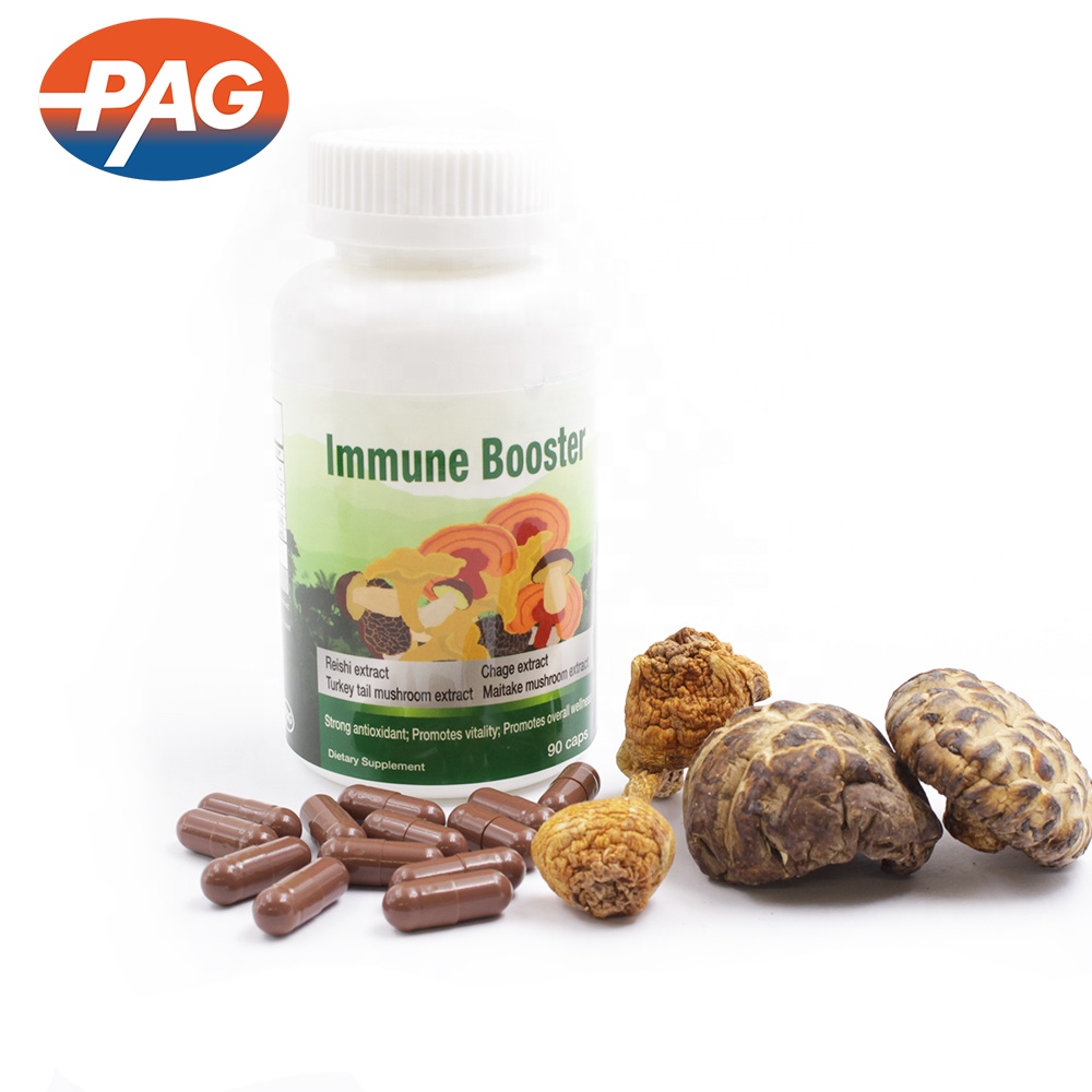 Private Label Supplement Maitake Chaga Red Reishi Lions Mane Mushroom Extract Herbal Capsules