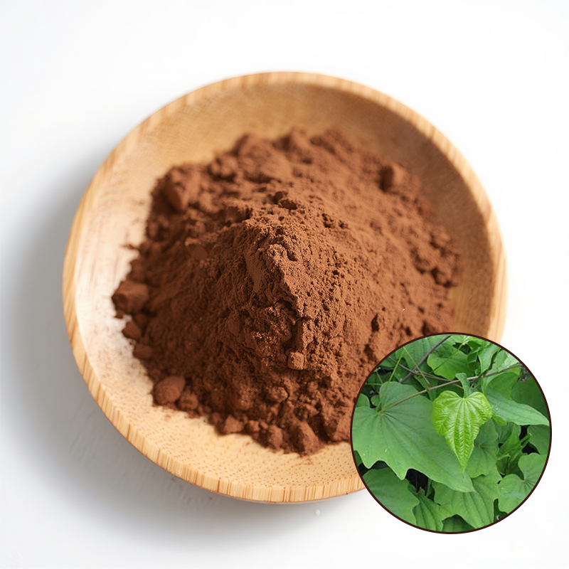 Hot Sale Organic Natural Plant Extract 98% Dioscorea Nipponica Root Extract Powder