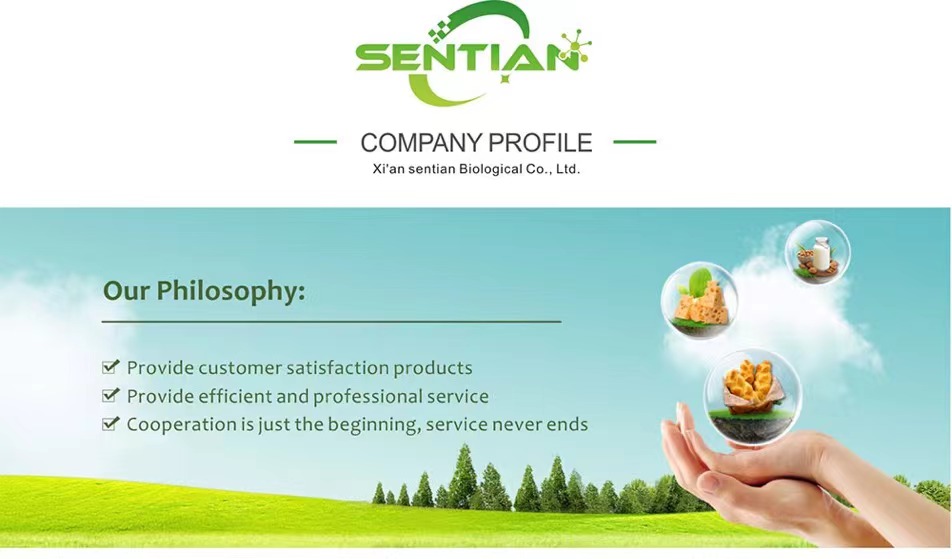 Company Overview