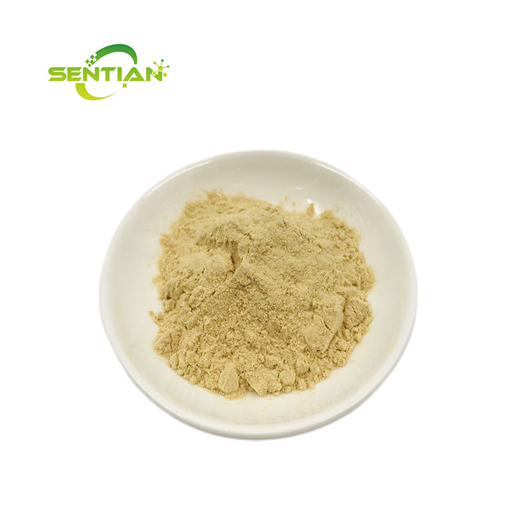 Plant Extract Chinese Traditional Herb Siberian Ginseng Extract Panax Ginseng Extract