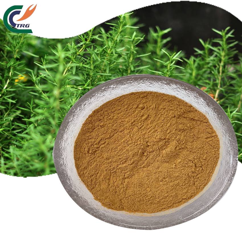 Rosemary Extract Powder Product View 2