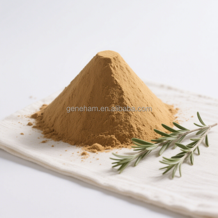 Carnosic Acid Oil-Soluble Rosemary Herbal Extract Food Grade Natural Preservative