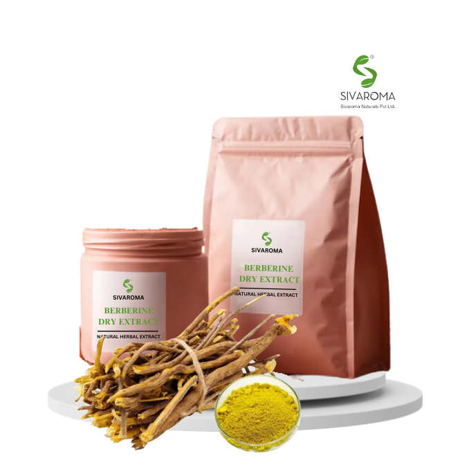 Bulk Standardized Wild Berberine Herbal Extract for Medicinal and Supplement Use
