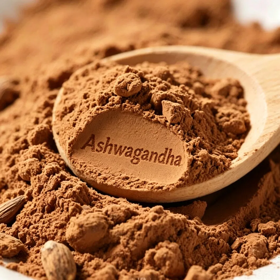 Natural Herbal Plant Extract Health Care Ashwagandha Extract