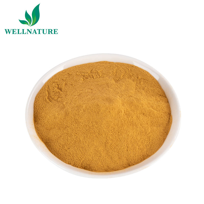 Best Price Green Tea Extract EGCG Green Tea Extract Powder Water Soluble Food Grade Herbal Extract