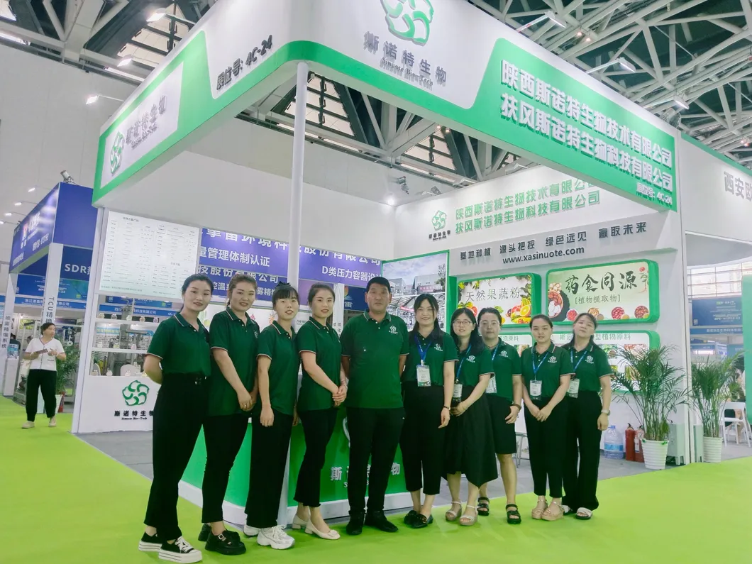 Exhibition Booth 2