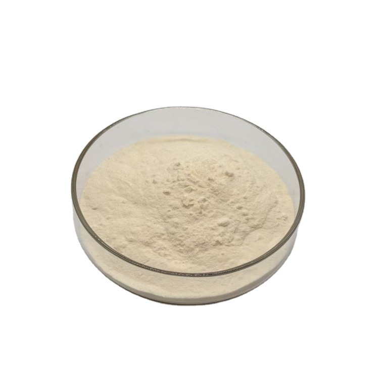 Siberian Ginseng Extract Powder Ginsenosides Powder Chinese Traditional Herb Siberian Ginseng Extract