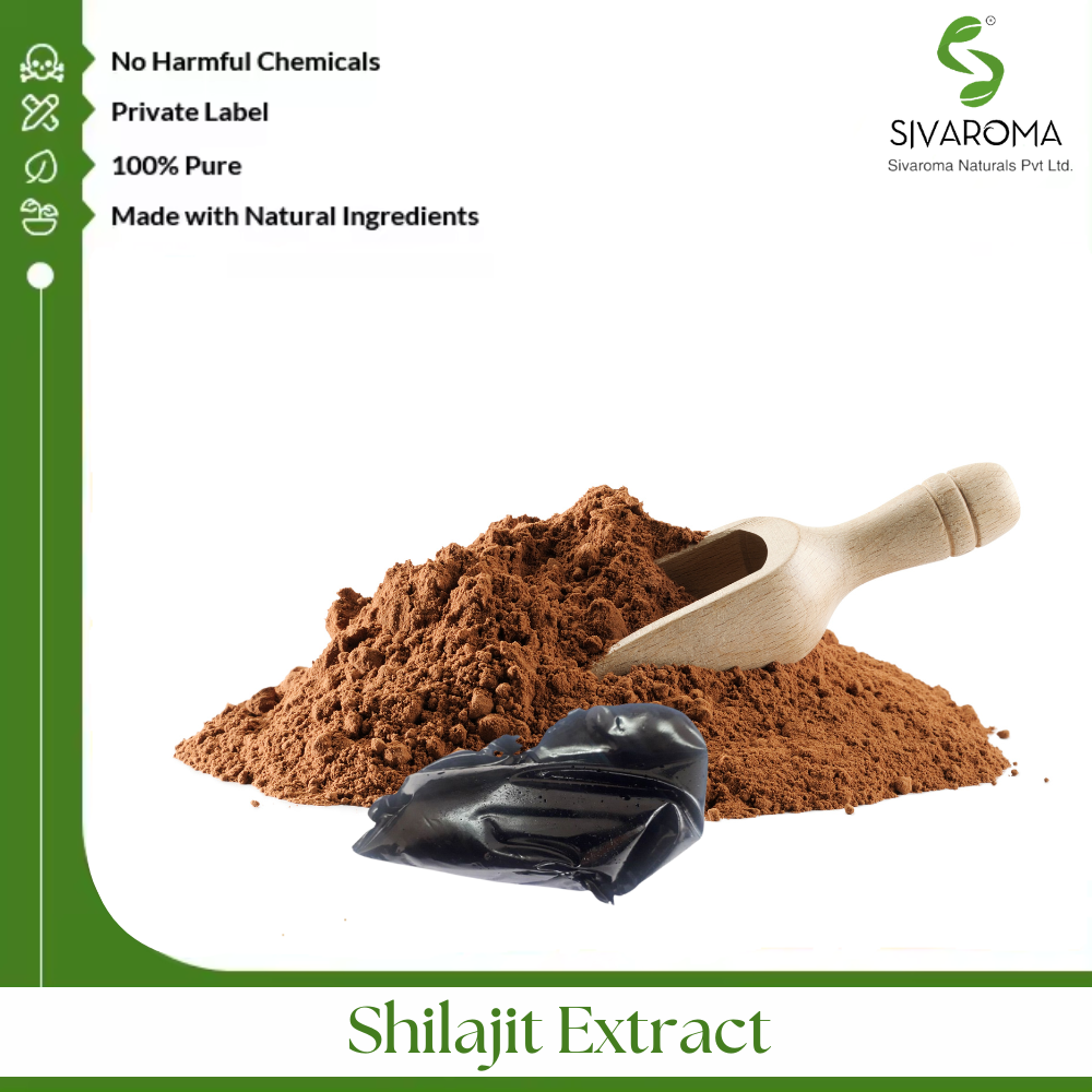 Pure Natural Shilajit Extract Powder Certified Herbal Extract Dietary Supplements Bulk Supply Ayurvedic Formulations Health