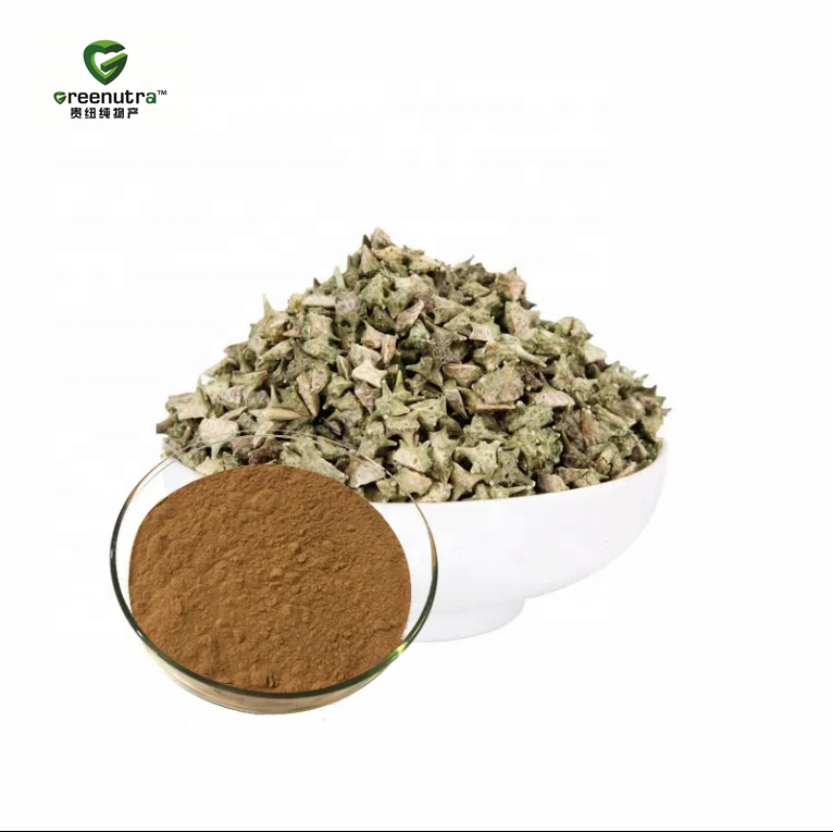 Cosmetic Grade Tribulus Terrestris Extract Powder