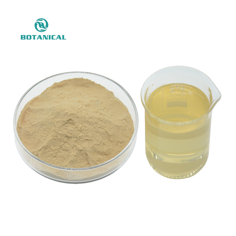 Ginger Juice Powder Details