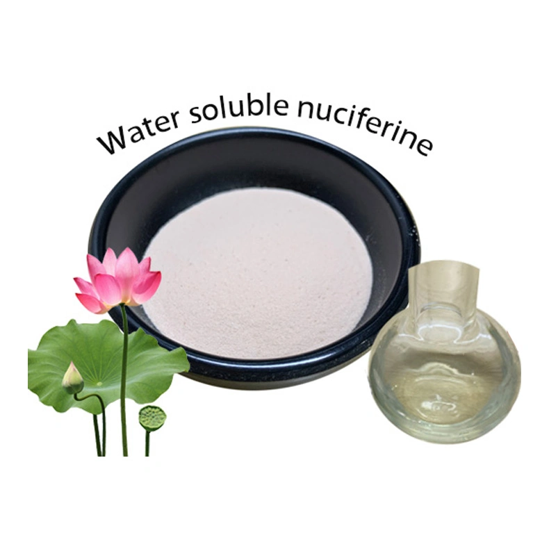 Nature Lotus Leaf Extract Water Soluble Nuciferin Powder Herbal Extract
