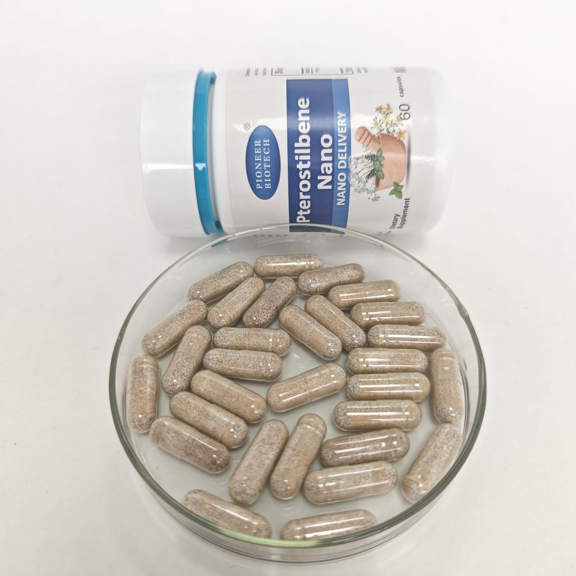 OEM ODM Antioxidant Support Natural Herb Pterostilbene Extract Capsule