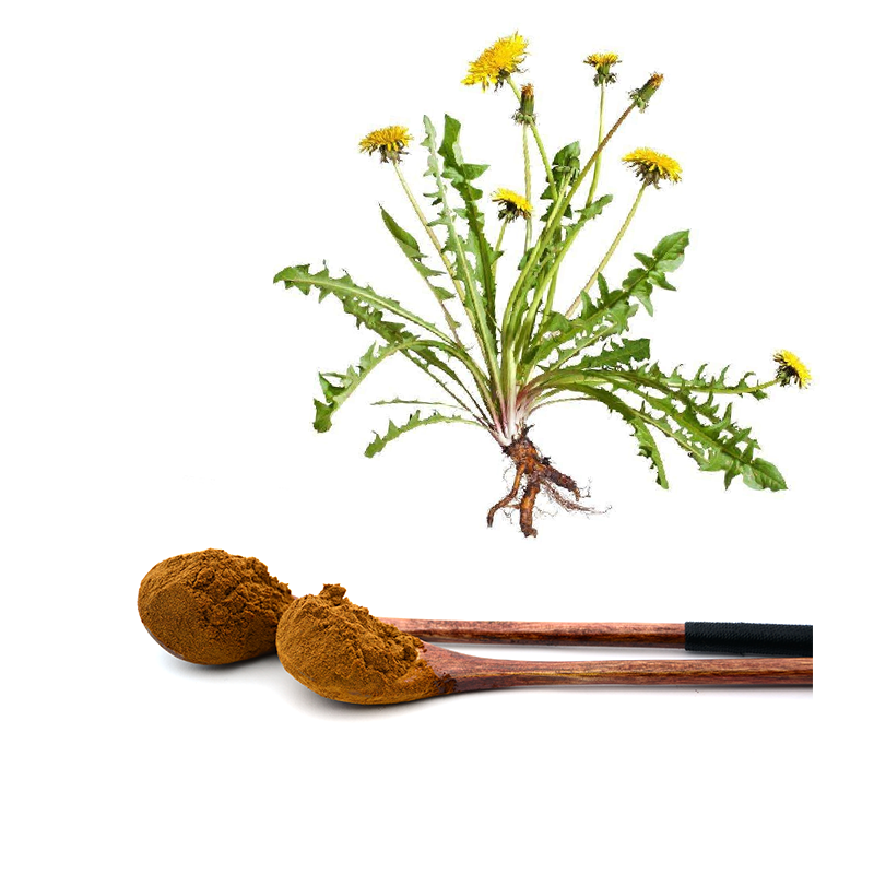 Taraxacum Mongolicum Botanical Herbal Dandelion Root Extract Powder Taraxol Taraxerol 5% Flavonoids Tea Bag Cosmetics Food