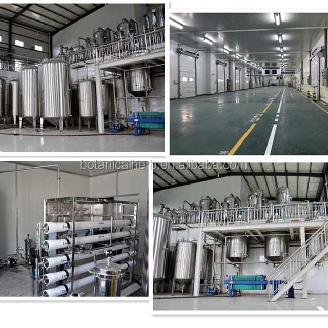 B.C.I Supply Natural Plant Extract 10:1 20:1 50:1 100:1 Radix Aucklandiae Extract Costus Root Extract Powder