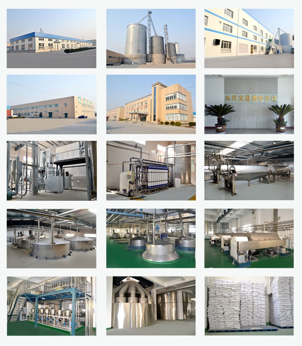 Production Line 2