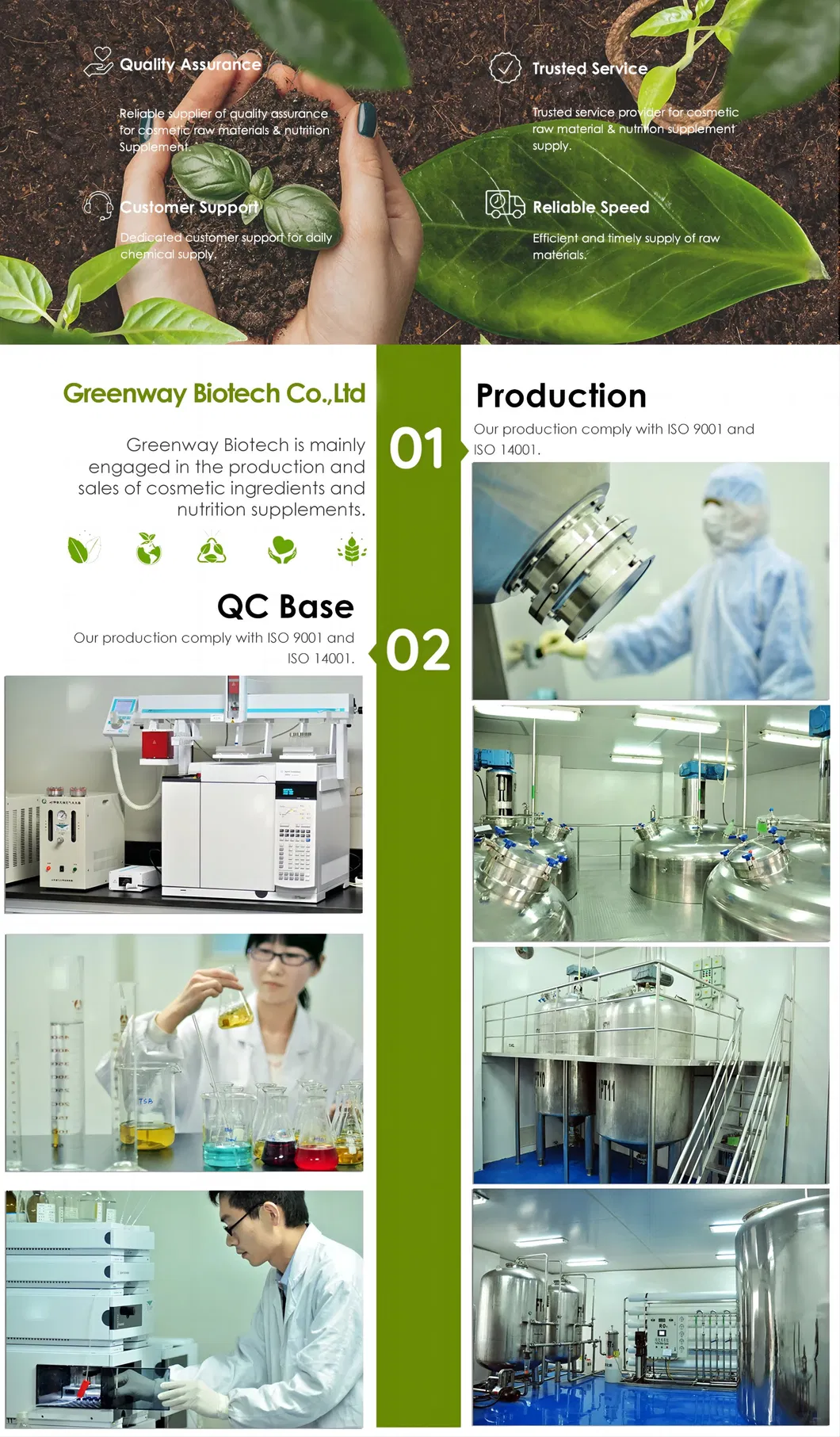 20%-50% Herbal Extract Water Soluble CAS 93164-89-7 False Purslane Extract/Bacopa Monnieri Extract Powder