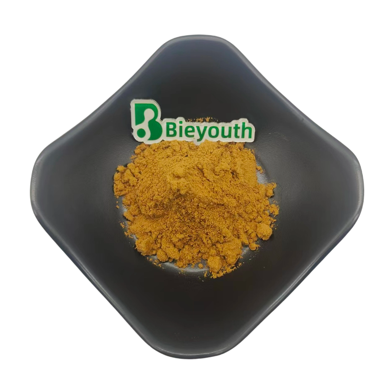 Angelica Pubescens Extract High Quality Traditional Chinese Herb Du Huo Extract for Anti-Inflammatory &amp; Joint Comfort Support