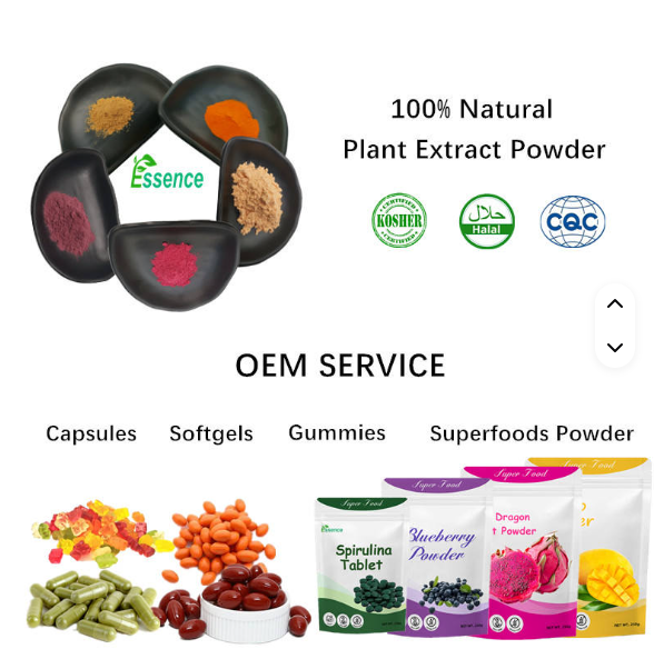 Natural Chinese Traditional Herb Corydalis Yanhusuo Extract Rotundine 98% Tetrahydropalmatine Yanhusuo Extract