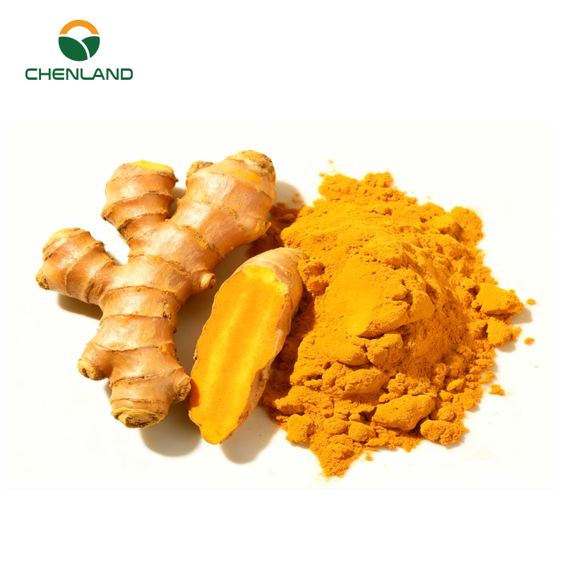Food Grade Water Soluble CuminUP60 Turmeric Extract 178X High Bioavailability for Health Food &amp; Powder Beverages