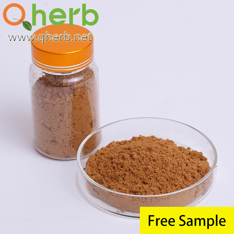 Pure Natural 10: 1 Cucurbita Moschata Pumpkin Seed Extract for Hair Herbal
