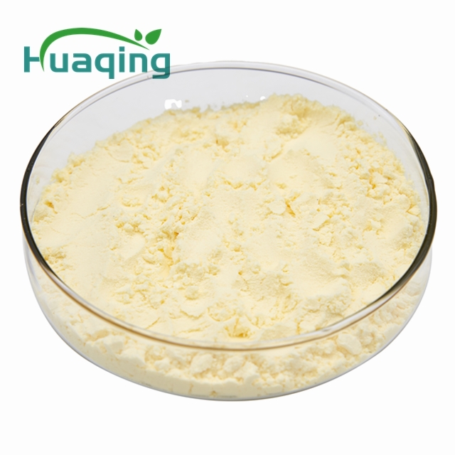 Sophora Japonica Extract 98% Quercetin Rutin Luteolin HPLC Certified Natural Antioxidant Herbal Powder for Anti-Inflammatory