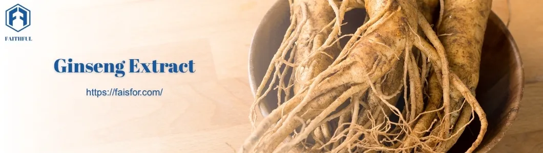 Bulk Ginseng Extract for Herbal and Functional Formulas