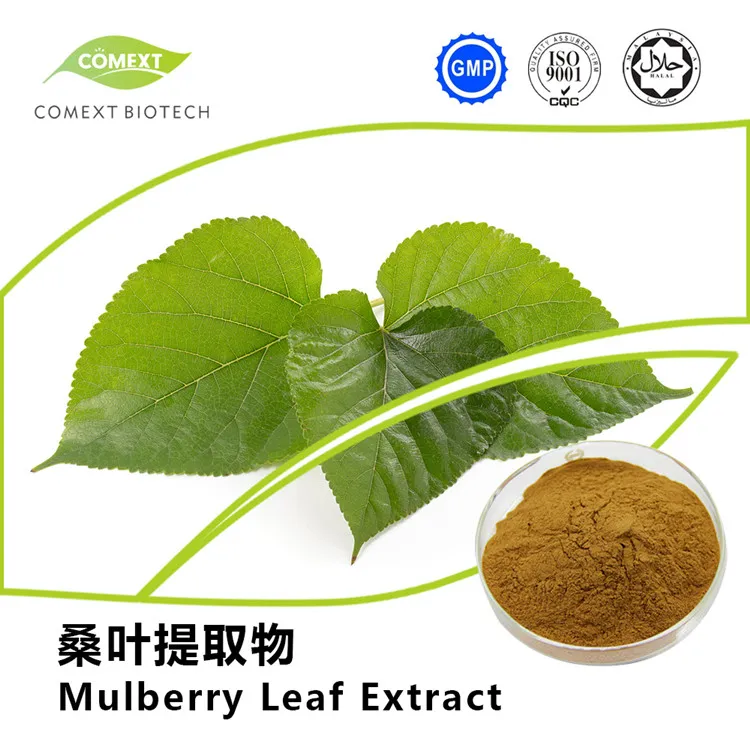 Herbal Silybum Marianum Plant Blessed Thistle Seed Powder 30% Silybins HPLC UV 40%~80% Water Soluble 40% Silymarin Milk Thistle Extract for Liver Health