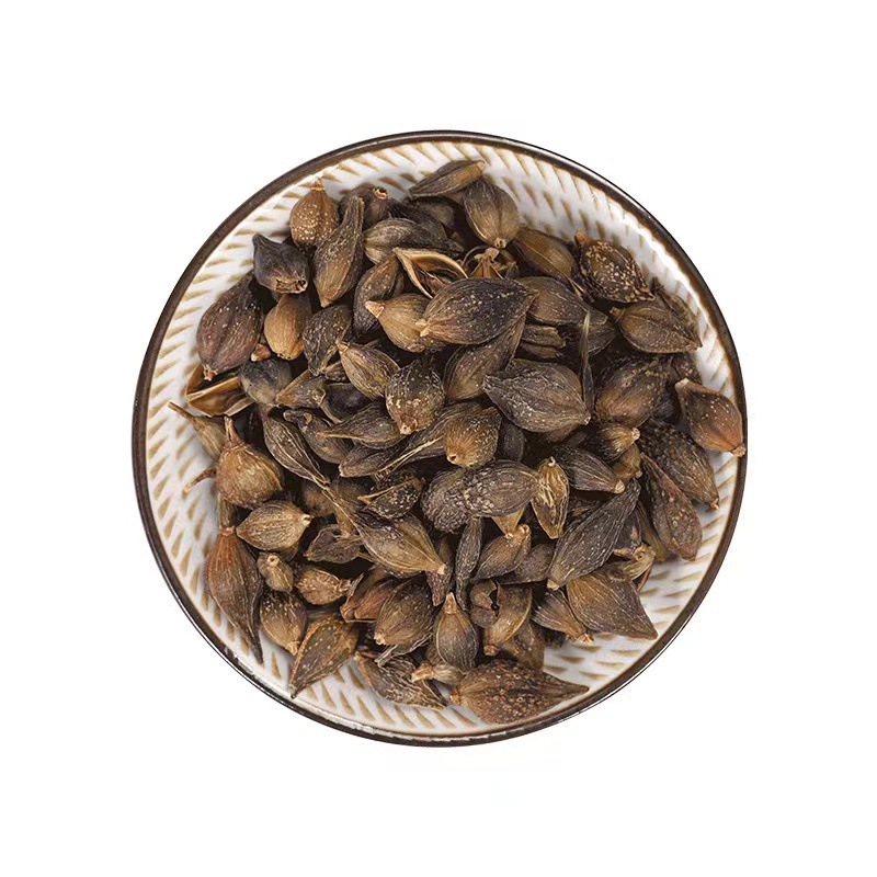 Forsythia Fructus Extract Forsythin 1% to 98% Oleanolic Acid Anti Inflammatory Immune Support Powder Customizable Herbal Bulk