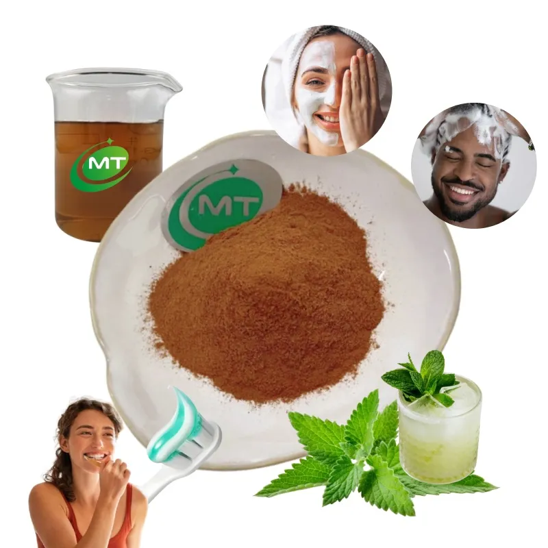 Natural Herbal Breath Freshen Skin & Hair Care Mint Extract Powder