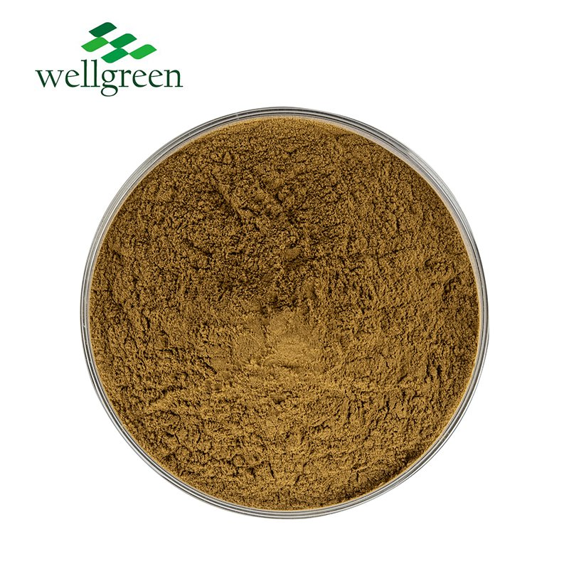 Food Grade Licorice Root Extract Powder for Hair Growth Licorice Root Extract 10: 1