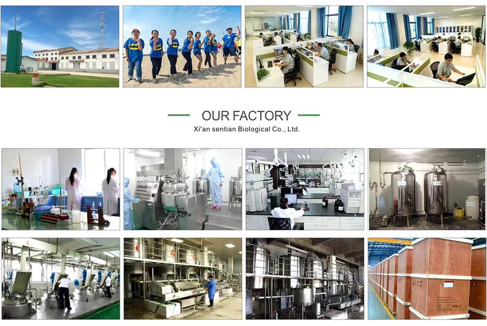 Production Process