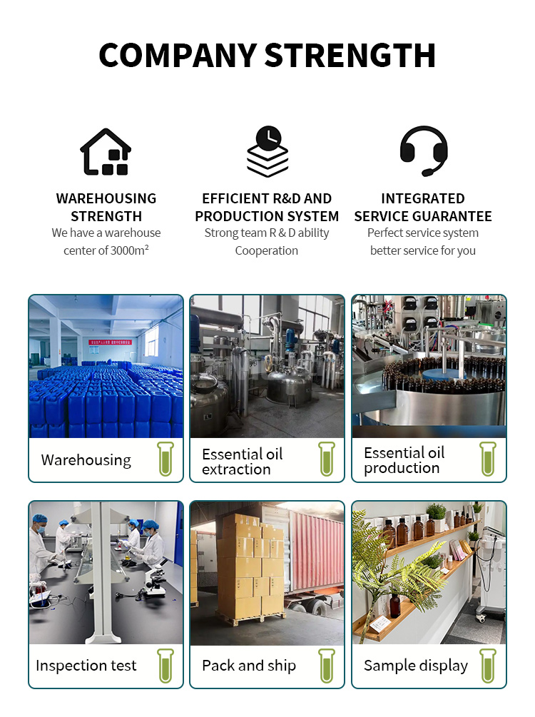 Factory Operation