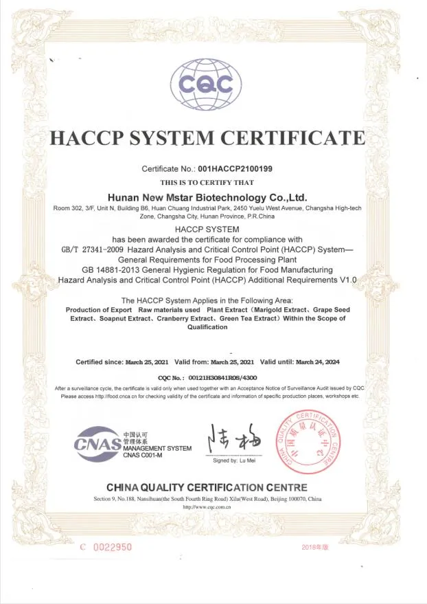 Certificate 1